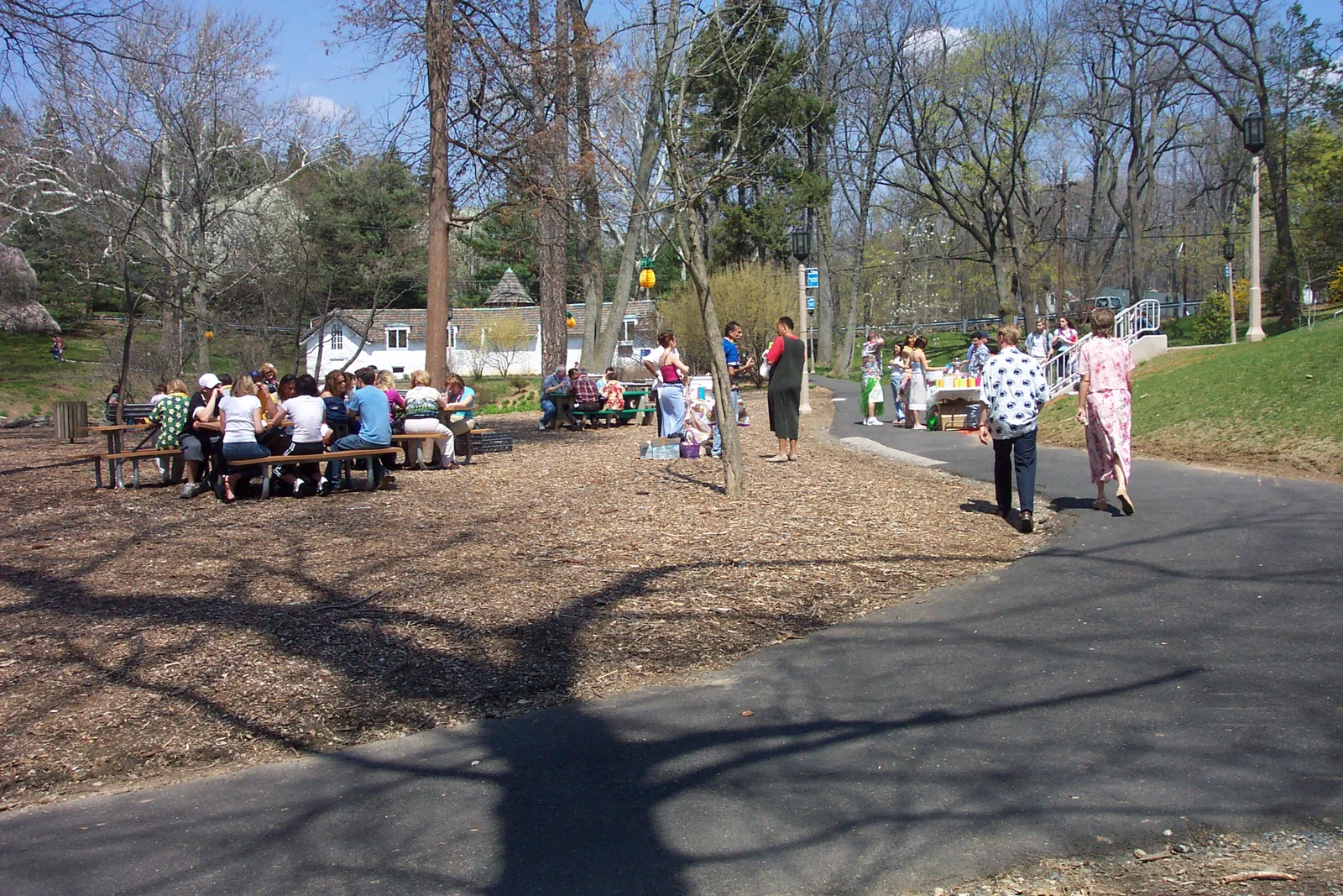 Another view of the festivities.  Notice the pineapples hanging from the trees. 