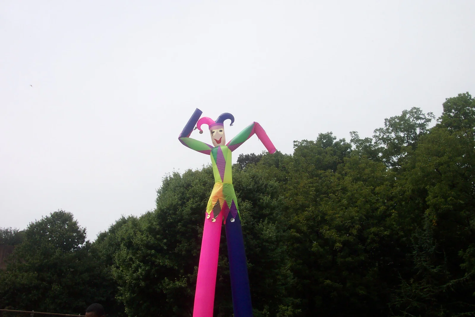 A close-up of the "fly guy." 