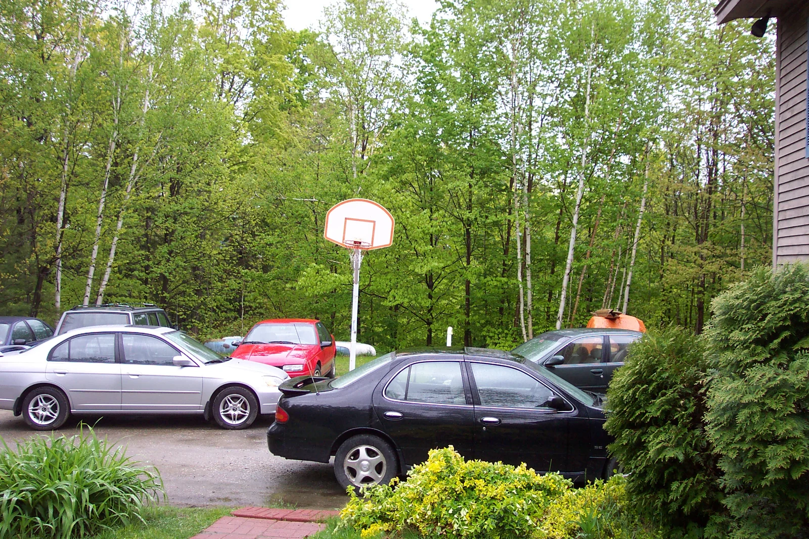 Despite being located miles from the nearest city, there was a huge traffic jam in the driveway. 