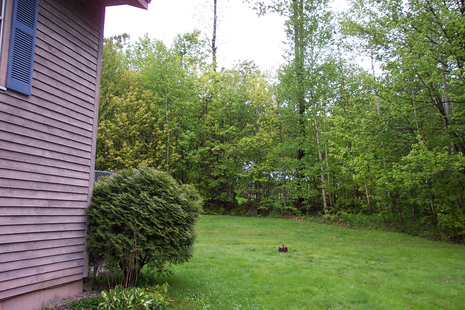 The side of the house. 