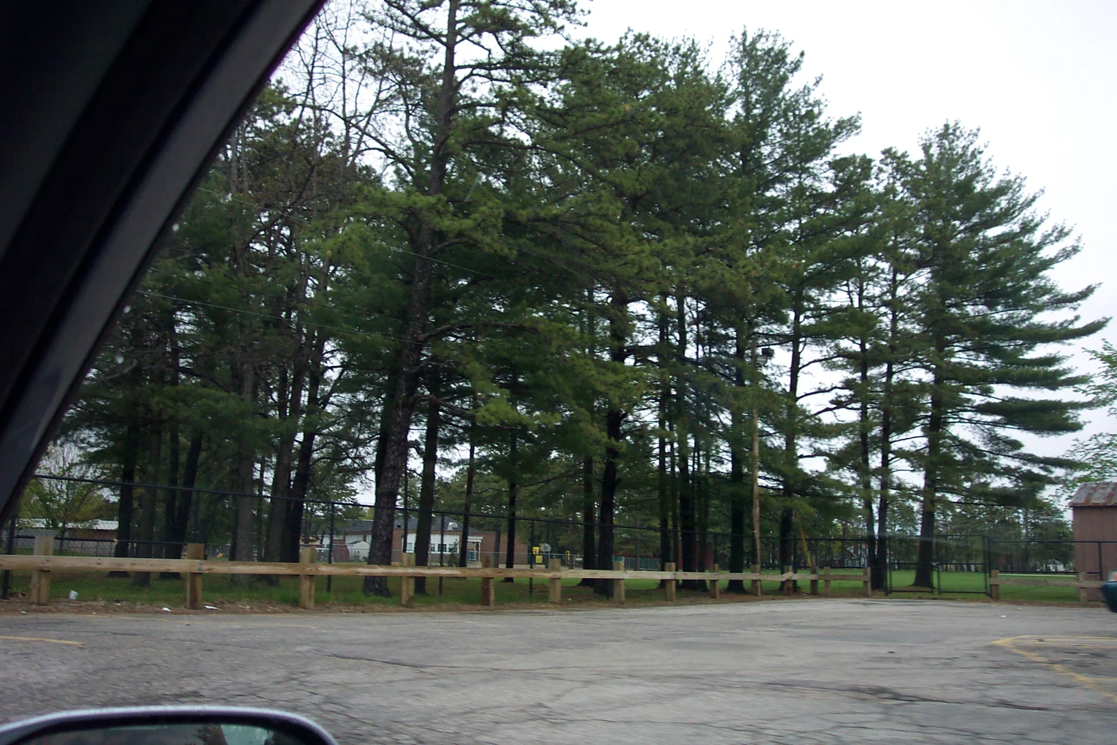 The New Hampshire Governer's Office is located behind these trees. 