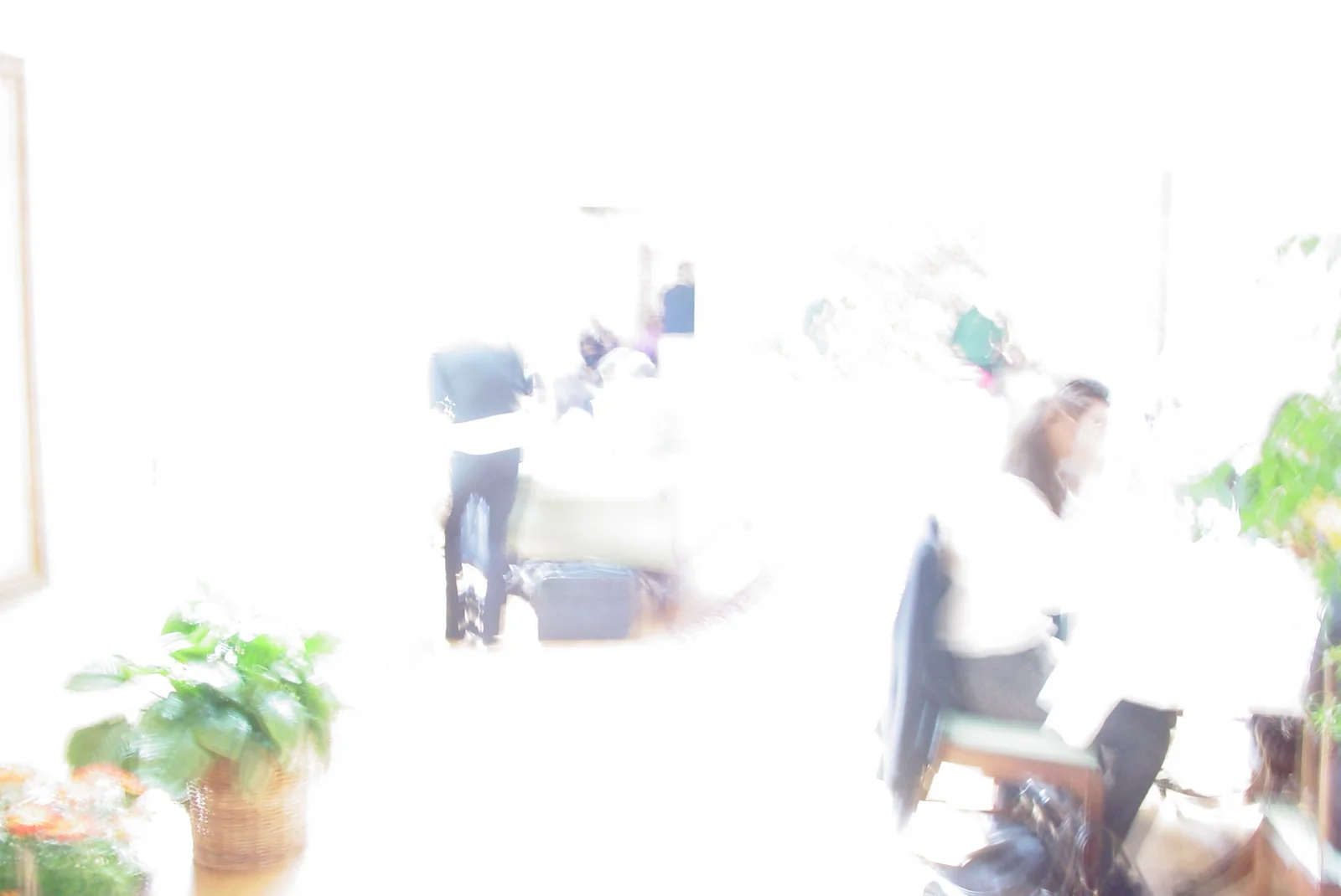 DSC00481.JPG 