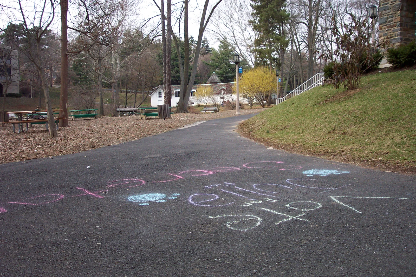 "Vote Julia for Secretary" was a popular campaign slogan that was visible everywhere.