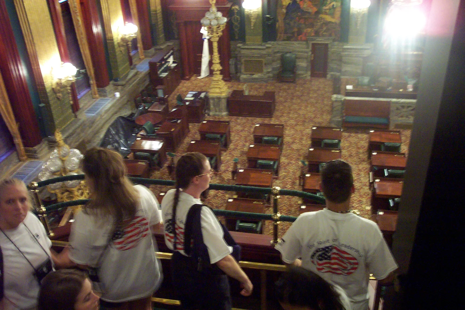 Looking down at the floor of the Senate chambers.
