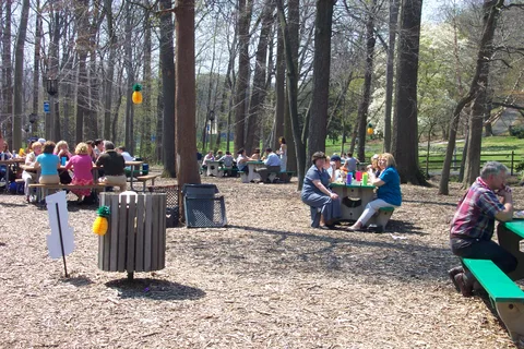 The lack of shade and the record high of 90 degrees didn't stop students from sitting under the trees.