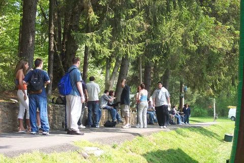 Students chilled under the trees on this picture-perfect day.