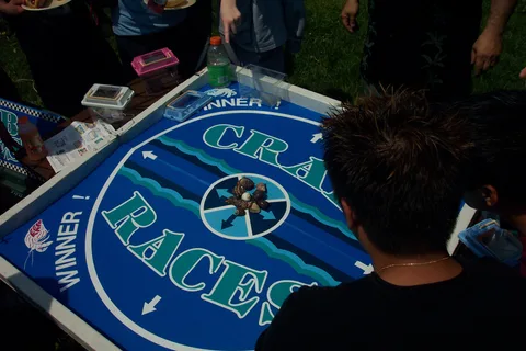 Hermit crab races were as popular as ever!