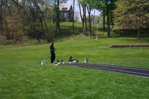 Unfortunately, the "Velcro Drag Races" weren't that popular, as many students opted to simply pass the exhibition by.