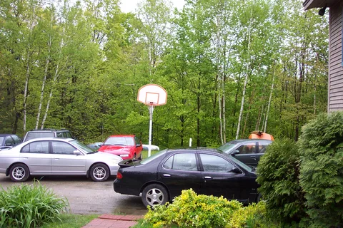 Despite being located miles from the nearest city, there was a huge traffic jam in the driveway. 