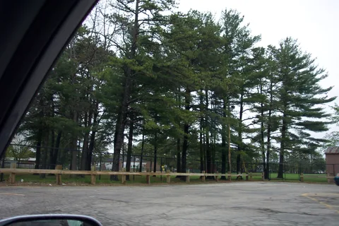 The New Hampshire Governer's Office is located behind these trees. 