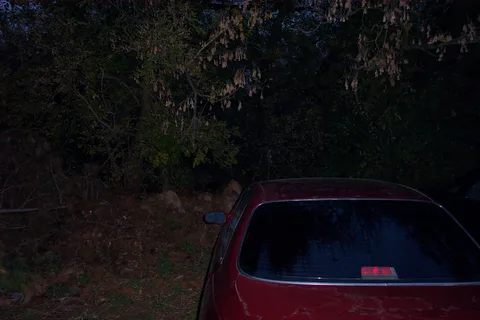 Does anyone know what this picture is of? 