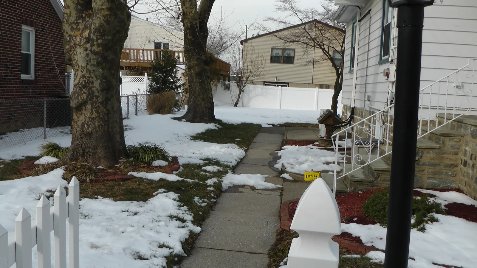 A view of the backyard from the fence.