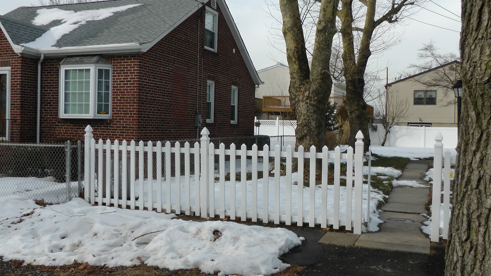 A view of the yard, looking south towards 9220 Torresdale Ave.