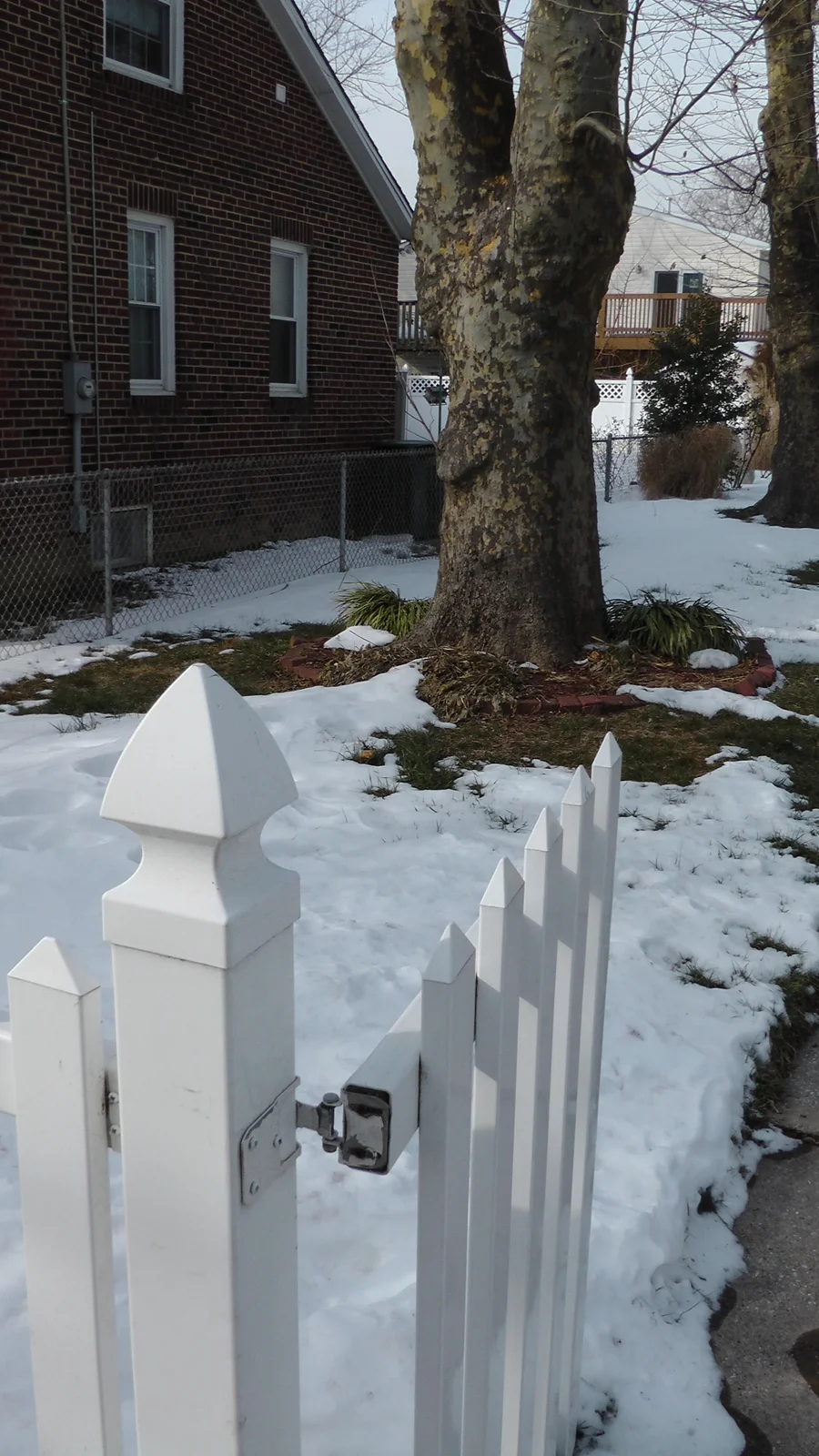 A closer view of the side yard from the fence line.
