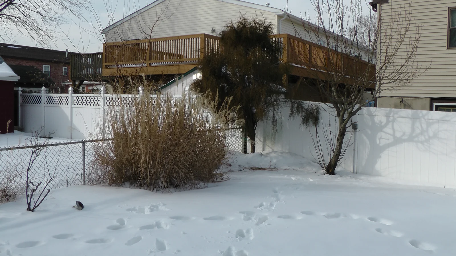 The other corner of the backyard, across from the shed.