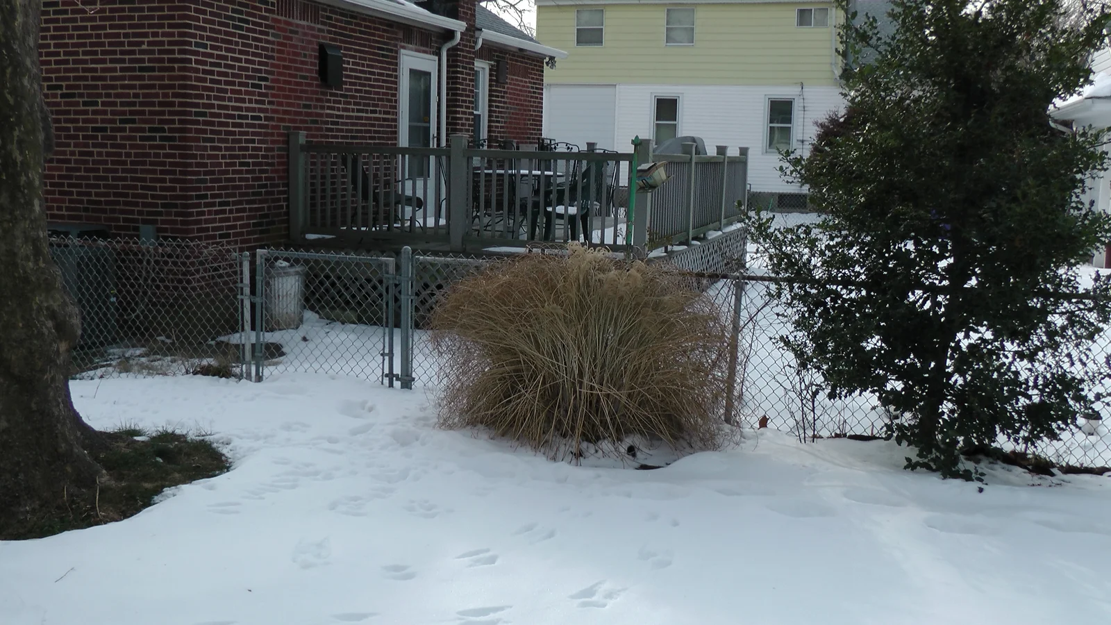 Another view of the side yard and beautiful red-mulched landscaping.