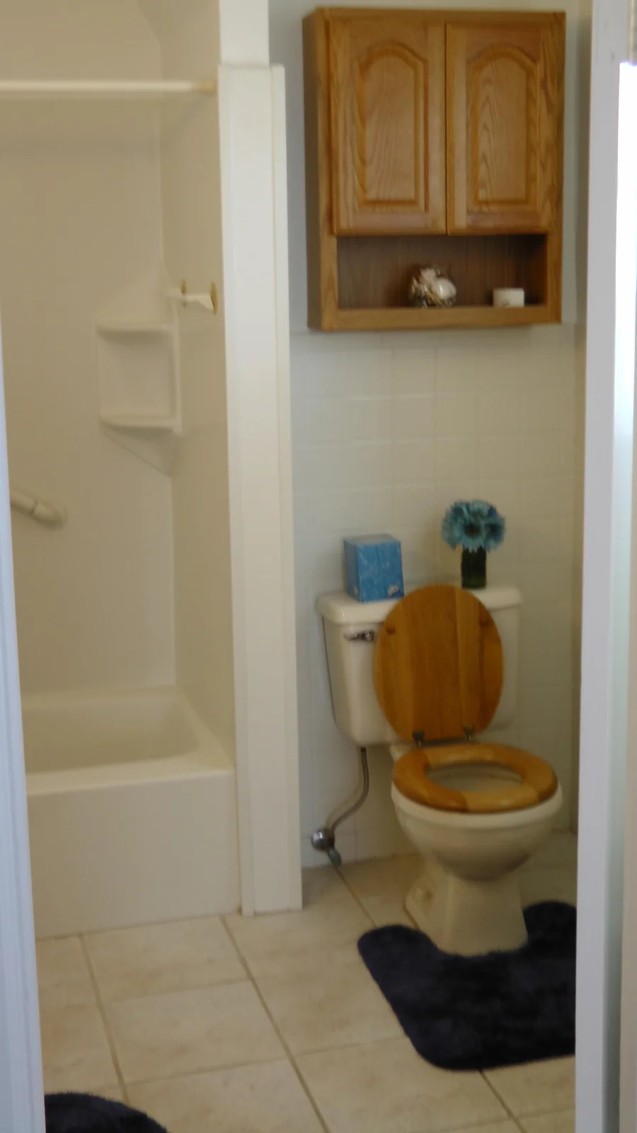 Another shot of the main bathroom.