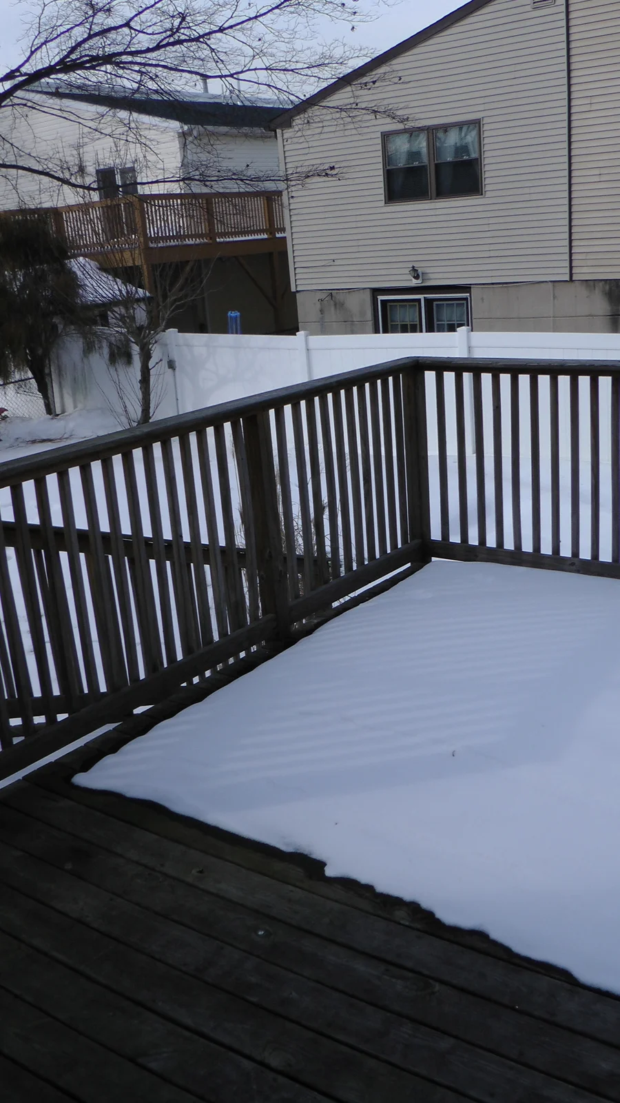 A view of the backyard and neighboring houses.