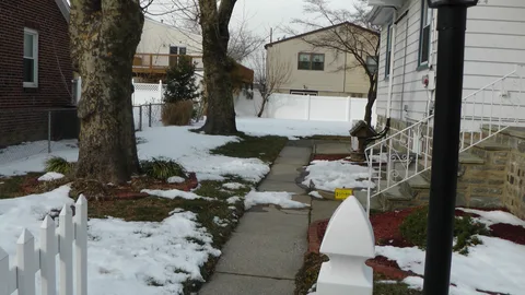 A view of the backyard from the fence.