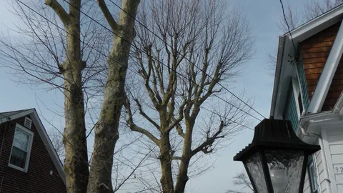 The property is shaded by majestic, old trees.