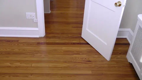 The entire house contains newly refurbished hardwood floors.