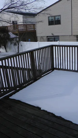 A view of the backyard and neighboring houses.