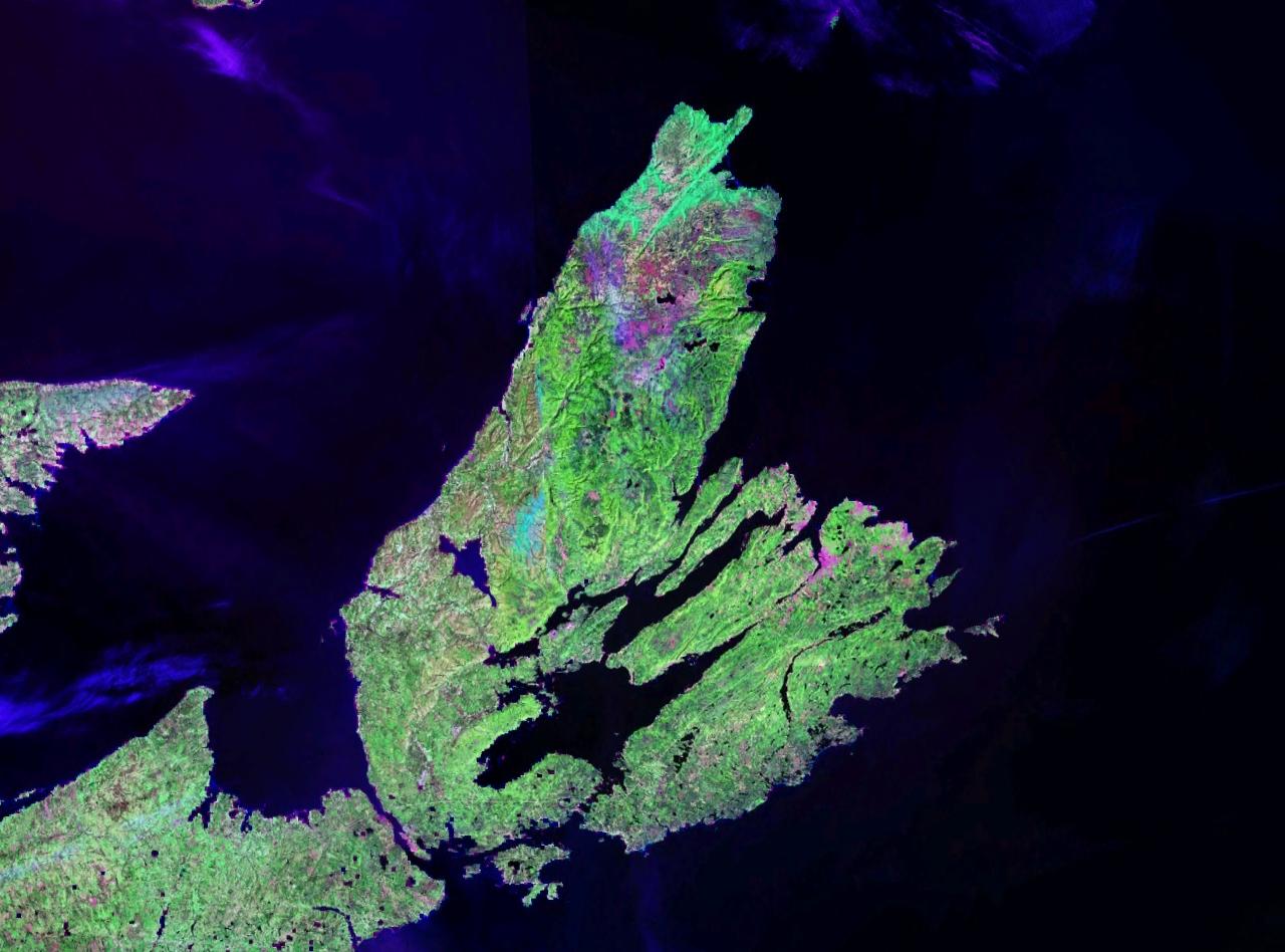 Satellite view of the island