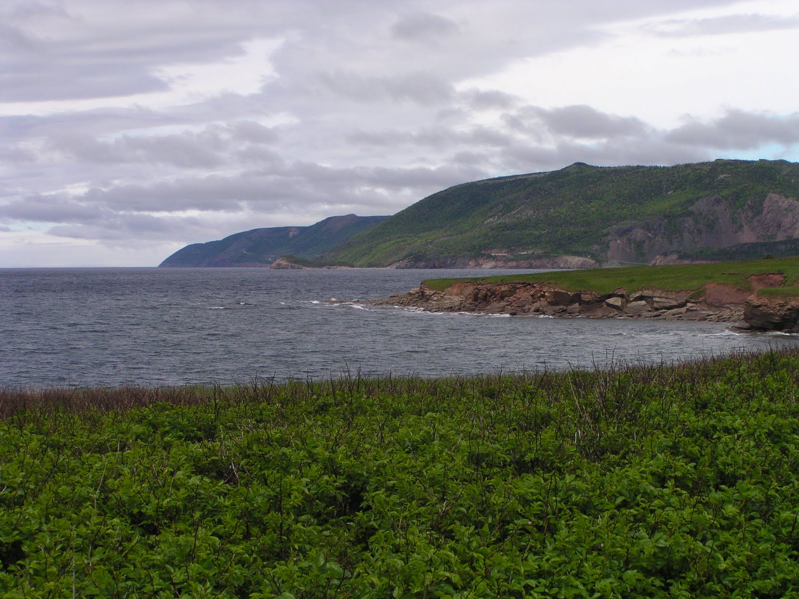 A coastal view from the city