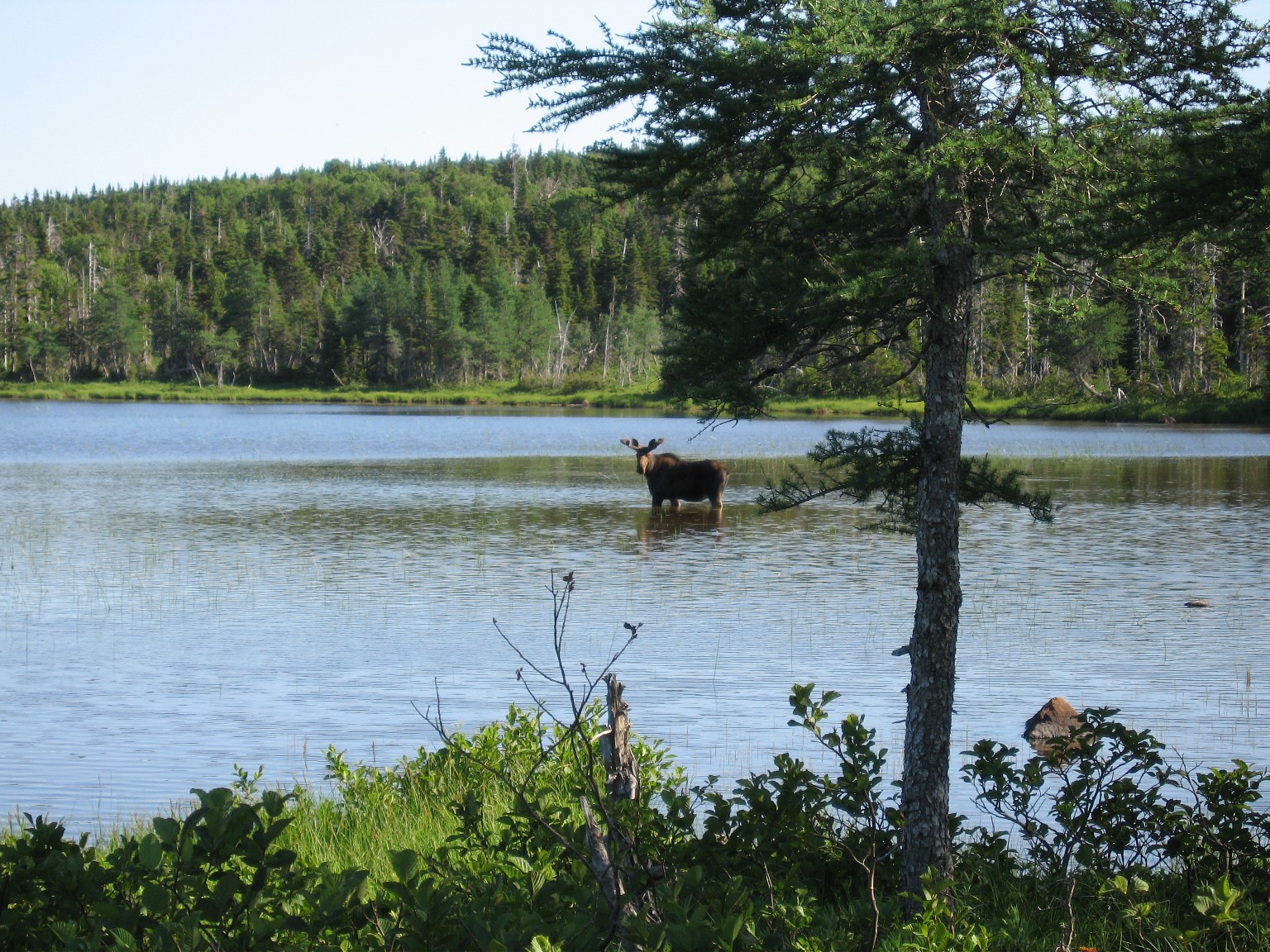 Benjie's Lake