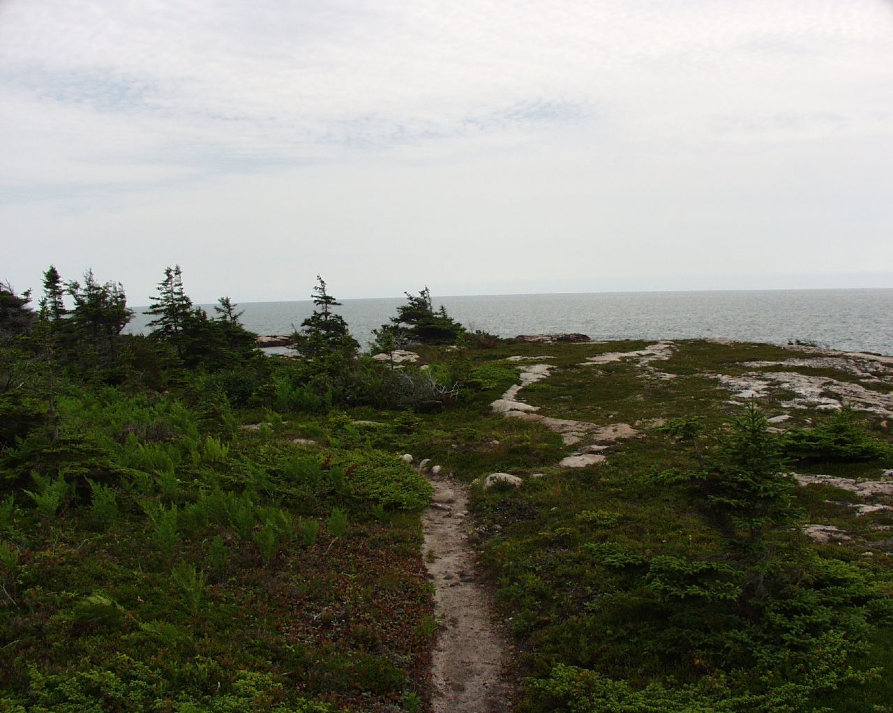 The coastal trail