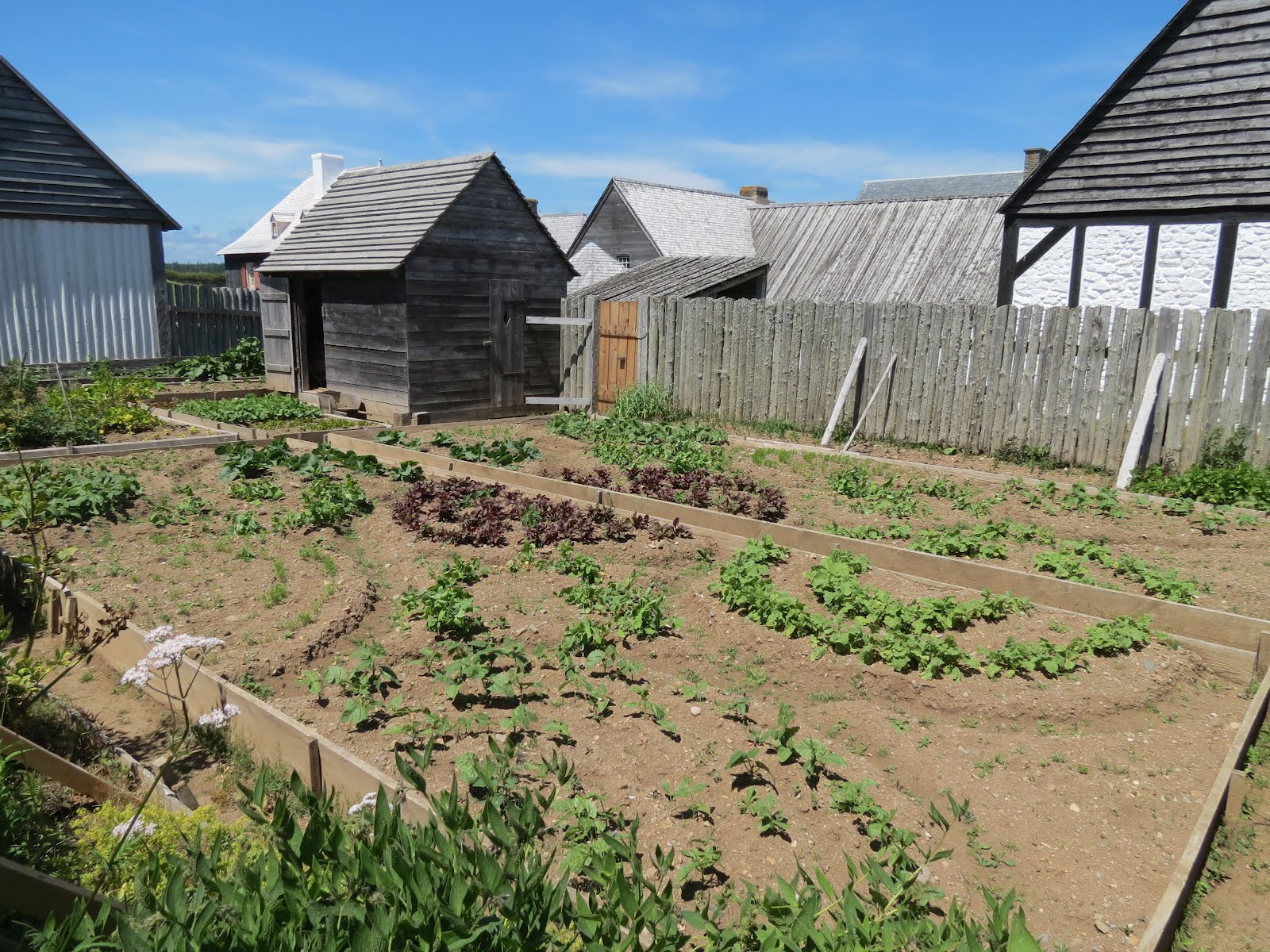 Fortress of Louisbourg — photograph or map 6