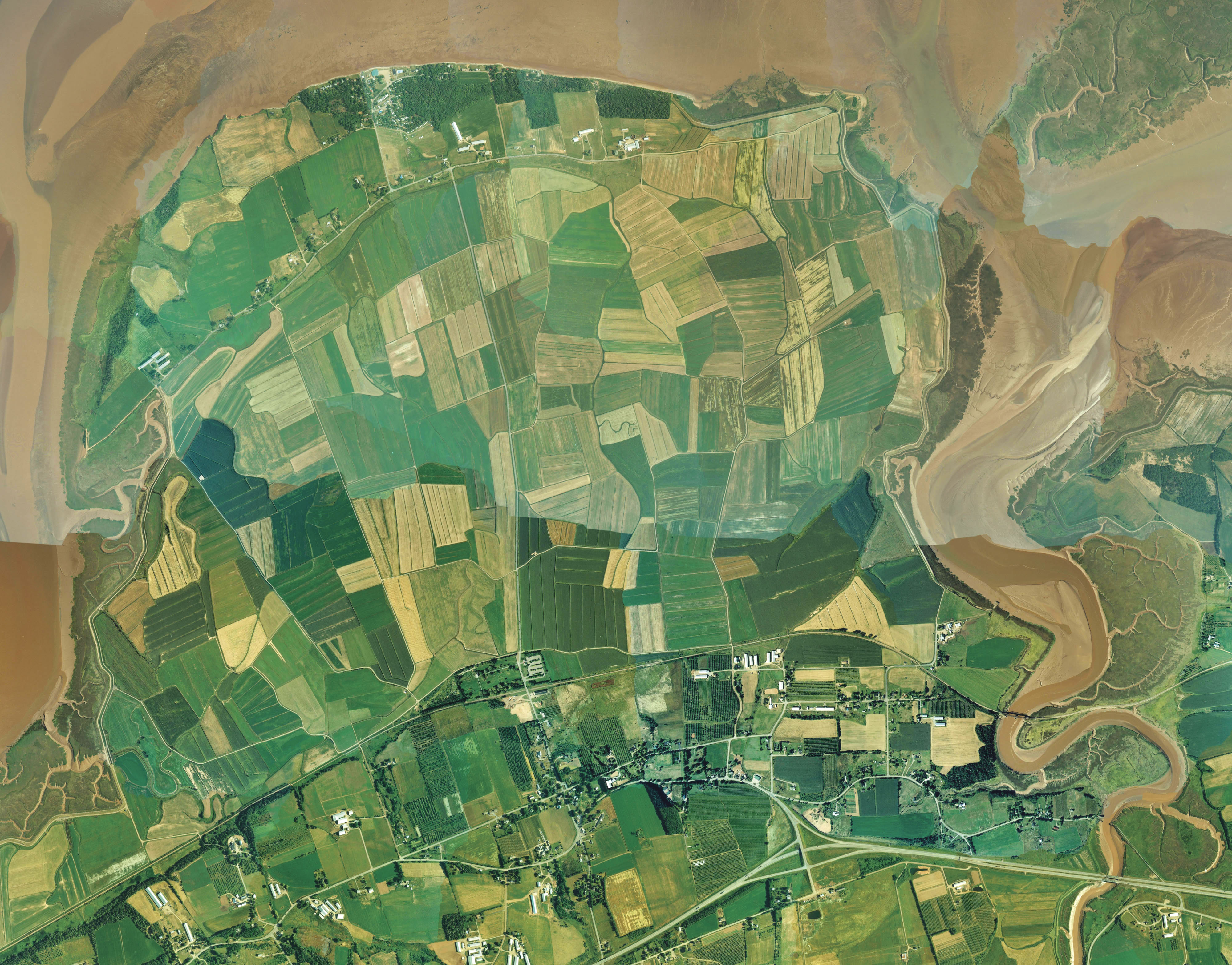 Satellite view of reclaimed farmland