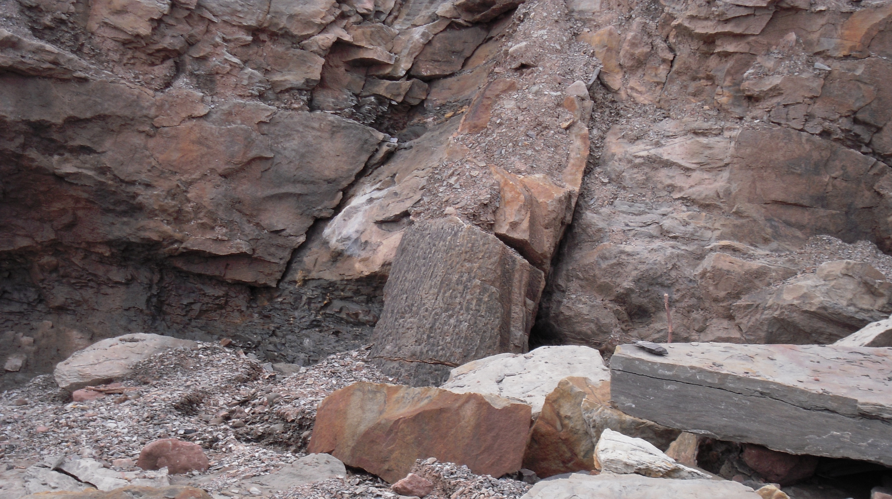 Joggins Fossil Cliffs — photograph or map 1