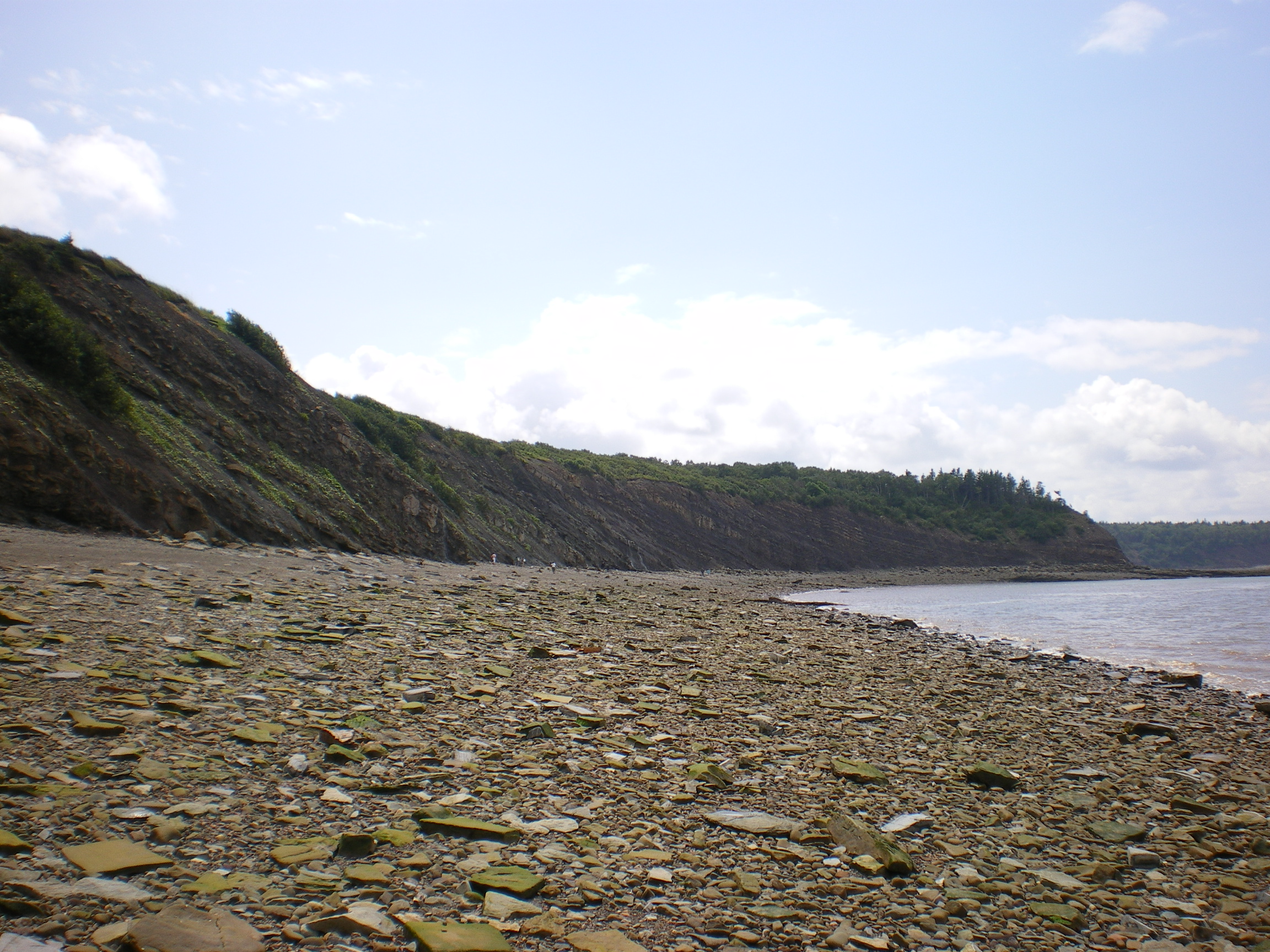 Joggins Fossil Cliffs — photograph or map 3